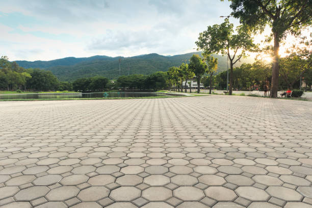 Best Driveway Pavers Near Me  in Glasgow, MT